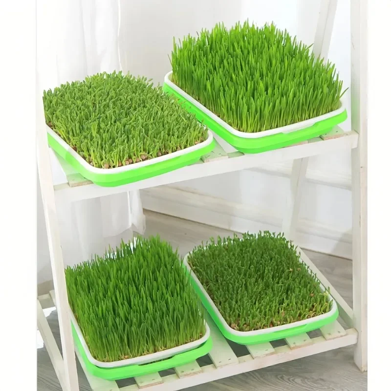 2026-Latest Models Seedling Tray Suit, Soilless Garden Germination Tray, Vegetable Bean Sprout Planting Tool, Plant Culture Tray
2026-Latest Models Seedling Tray Suit, Soilless Garden Germination Tray, Vegetable Bean Sprout Planting Tool, Plant Culture Tray