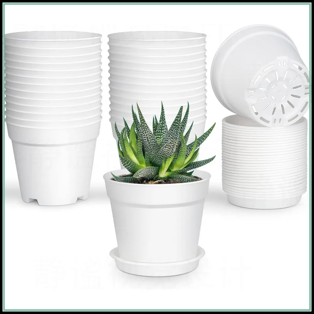 28 Pack 4 inch Small Plant Pots, Plastic Planters with Drainage Holes and Saucers for Succulents, Flowers, Seed Starting
28 Pack 4 inch Small Plant Pots, Plastic Planters with Drainage Holes and Saucers for Succulents, Flowers, Seed Starting
