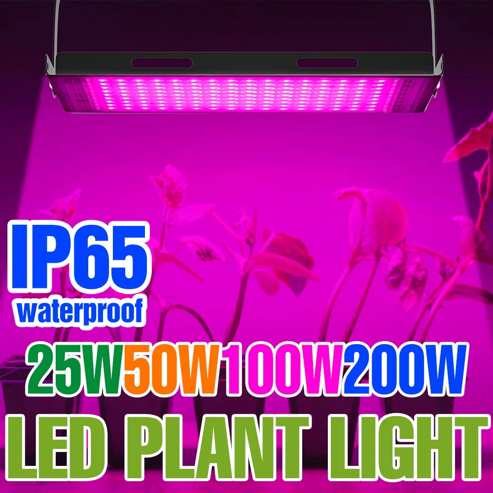 LED Full Spectrum Grow Light Plant Lamp Indoor Flower Hydroponics Greenhouse Cultivation Fill Lighting 25W 50W 100W 200W EU Plug
LED Full Spectrum Grow Light Plant Lamp Indoor Flower Hydroponics Greenhouse Cultivation Fill Lighting 25W 50W 100W 200W EU Plug