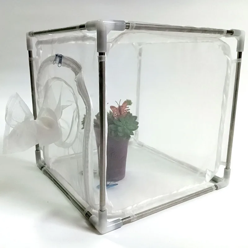 Уличная клетка для насекомых, прозрачная клетка для насекомых, клетка для сбора сельскохозяйственных насекомых, клетки для дома, сада, муравьев, червей, разведение, сельскохозяйственные принадлежности
Уличная клетка для насекомых, прозрачная клетка для насекомых, клетка для сбора сельскохозяйственных насекомых, клетки для дома, сада, муравьев, червей, разведение, сельскохозяйственные принадлежности