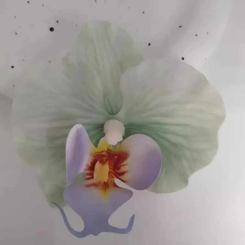 1 Pair Simulation Coloful Thai Fairy Flower Shoe Buckles Personalized Design Orchid Simulation Buckles Decor
1 Pair Simulation Coloful Thai Fairy Flower Shoe Buckles Personalized Design Orchid Simulation Buckles Decor