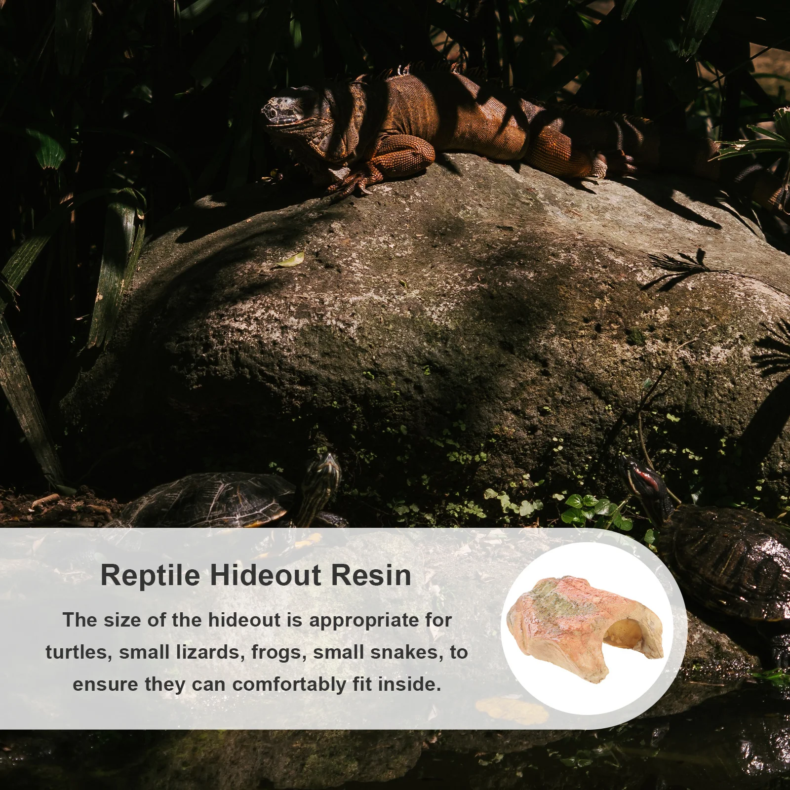 Reptile Cave Resin Hideout Turtle Basking Platform Creative Ramp Tank Decoration Accessories Reptile Cave Reptiles Tank Hide
Reptile Cave Resin Hideout Turtle Basking Platform Creative Ramp Tank Decoration Accessories Reptile Cave Reptiles Tank Hide