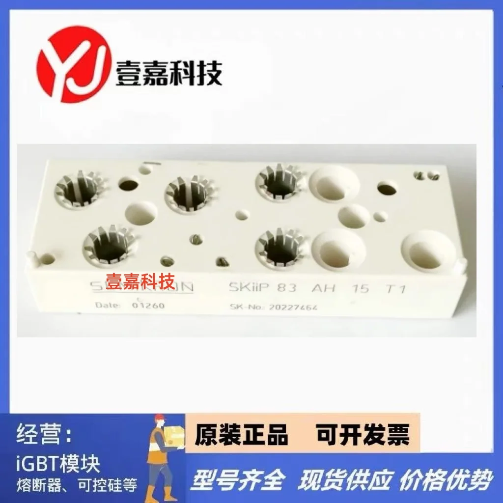 1PCS NEW SKIIP83AH15T1
1PCS NEW SKIIP83AH15T1