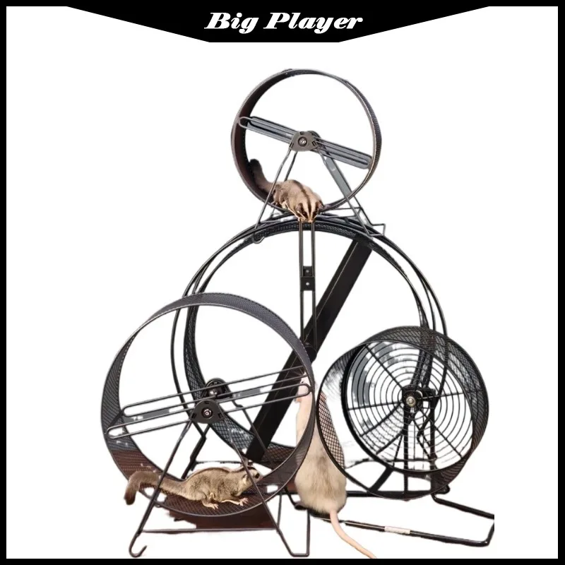 Sugar Glider running wheel silent nail grinding squirrel chinchilla silent chipmunk toy oversized special wall mounted grinding
Sugar Glider running wheel silent nail grinding squirrel chinchilla silent chipmunk toy oversized special wall mounted grinding
