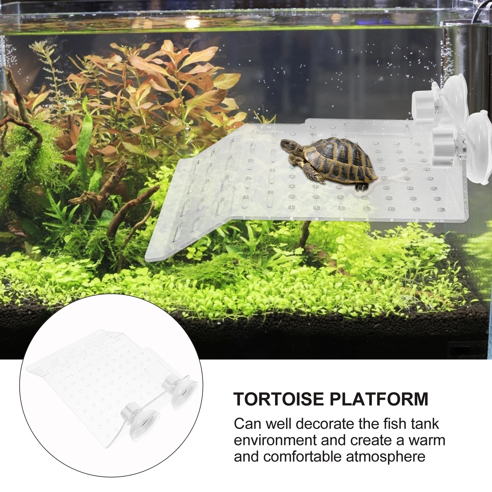 1pc Acrylic Turtle Basking Platform Tortoise Resting Terrace Strong Suction Sucker Easy Install Wide Flat Surface Terraced Slope
1pc Acrylic Turtle Basking Platform Tortoise Resting Terrace Strong Suction Sucker Easy Install Wide Flat Surface Terraced Slope