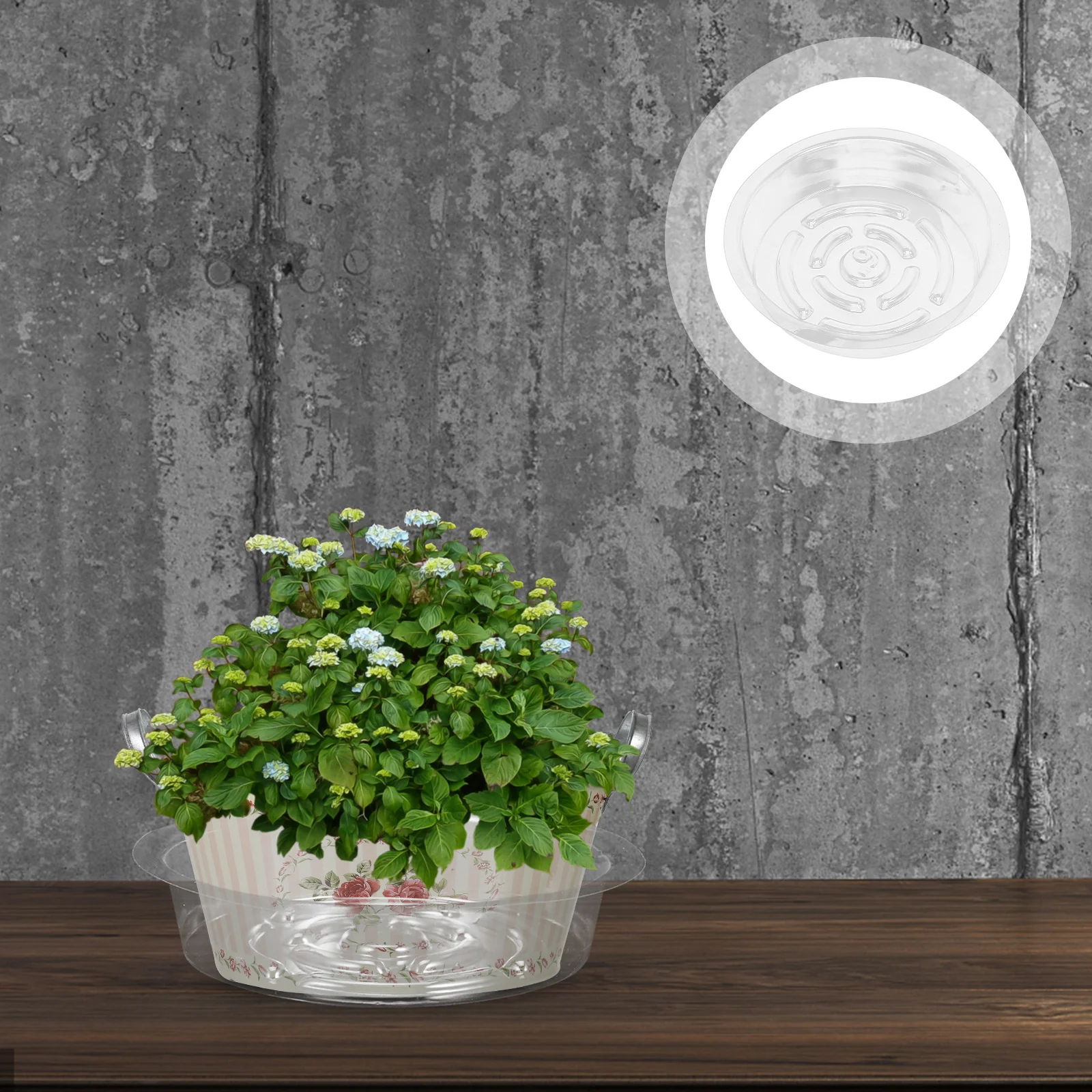 Plastic Planter Tray Drip Trays for Plants Water Flower Pot Saucer Saucers Drainage Pots Indoor
Plastic Planter Tray Drip Trays for Plants Water Flower Pot Saucer Saucers Drainage Pots Indoor