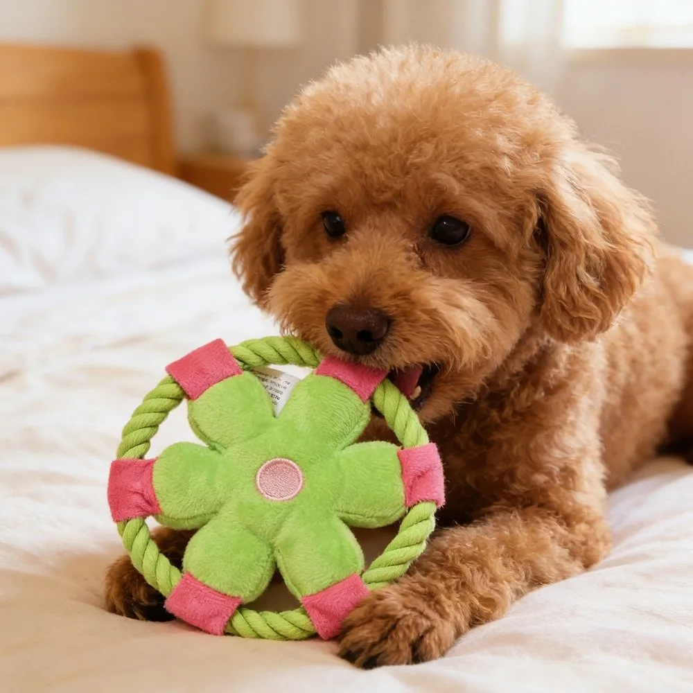 Pet Molar Bite-Resistant Dog Flying Disc Cotton Rope Flower Design Dog Chew Squeaky Rope Dog Exercise
Pet Molar Bite-Resistant Dog Flying Disc Cotton Rope Flower Design Dog Chew Squeaky Rope Dog Exercise