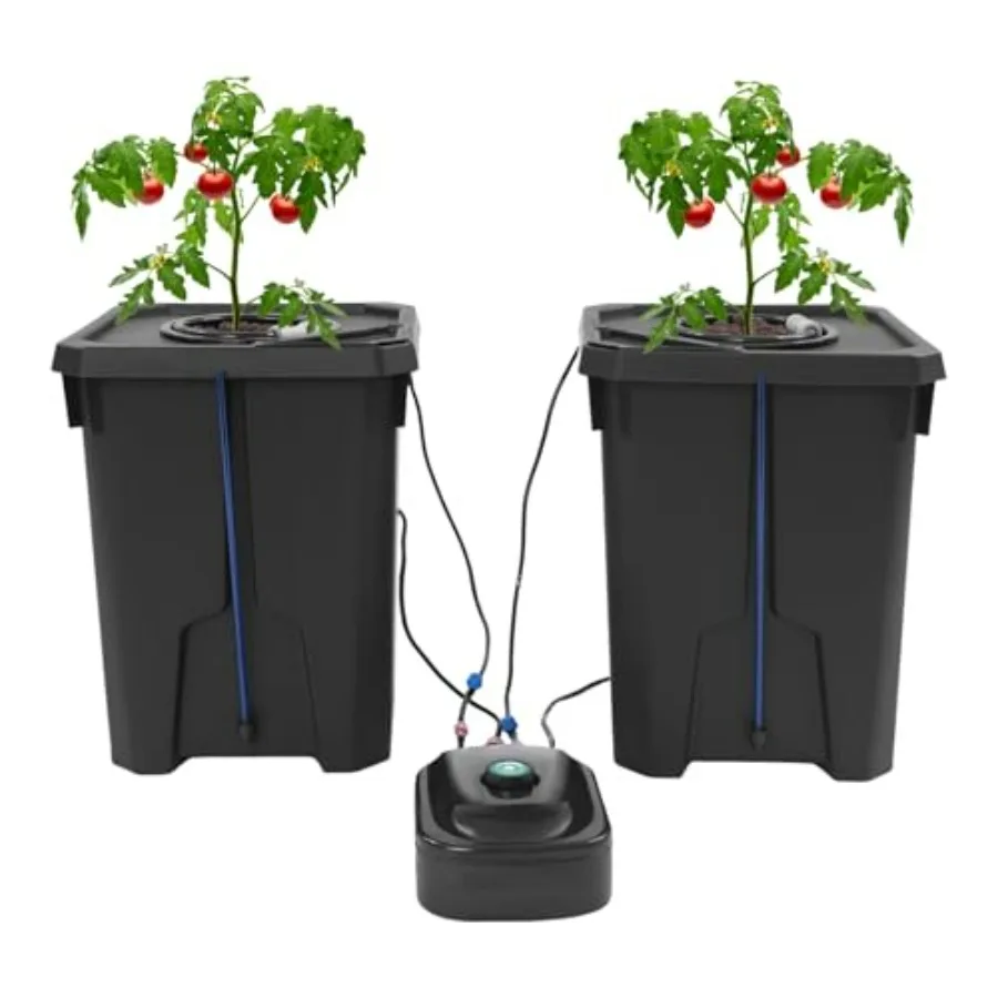 Hydroponics Growing Buckets 2PCS 7 Gallon Deep Water Culture System with Air Pump Clay Pebbles for Greenhouse Garden Balcony Re
Hydroponics Growing Buckets 2PCS 7 Gallon Deep Water Culture System with Air Pump Clay Pebbles for Greenhouse Garden Balcony Re