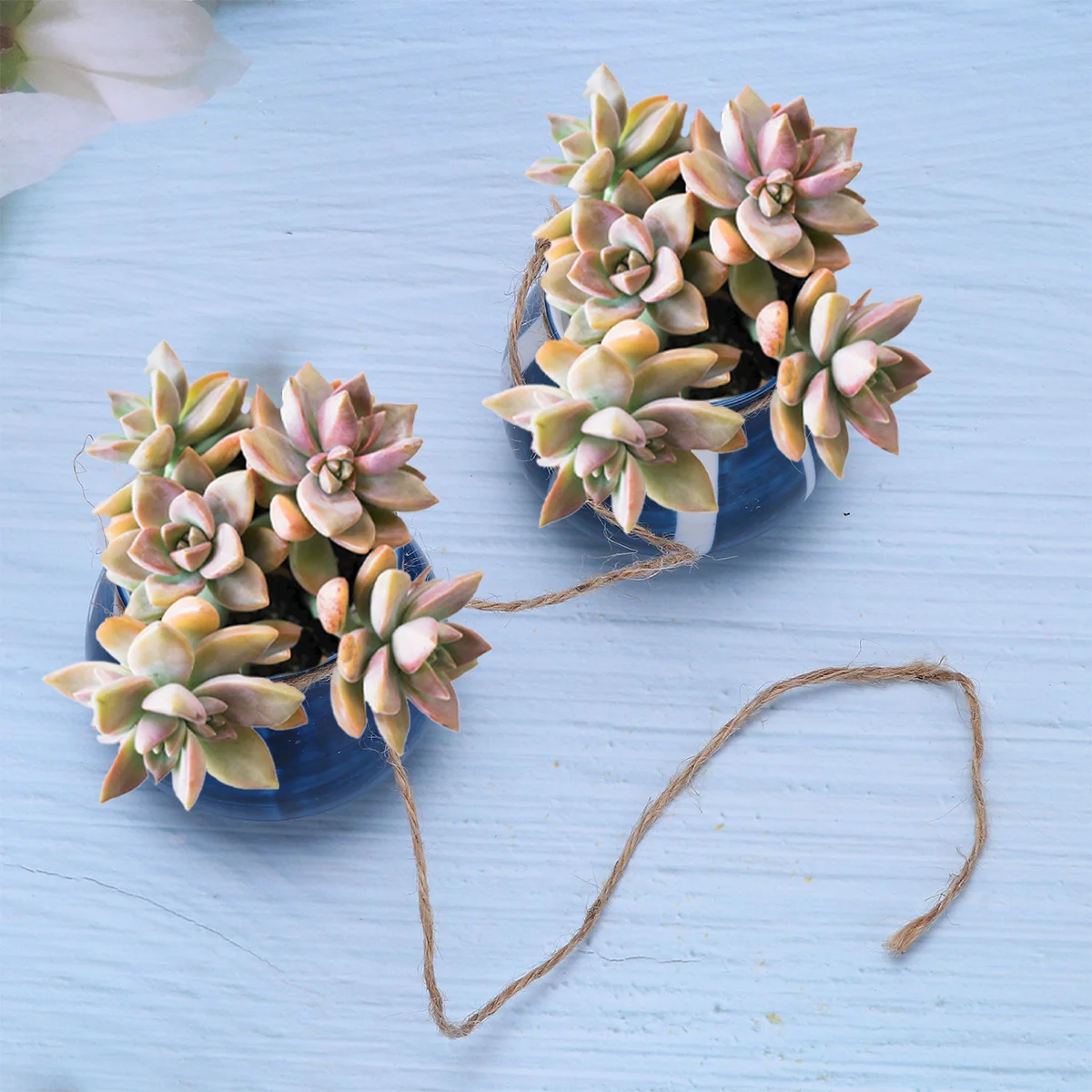 4Pcs Colorful Printed Ceramic Succulent Flower Pots Cauldron Shape Hanging Small Planters Wall Ceiling Mount Plant Holders
4Pcs Colorful Printed Ceramic Succulent Flower Pots Cauldron Shape Hanging Small Planters Wall Ceiling Mount Plant Holders