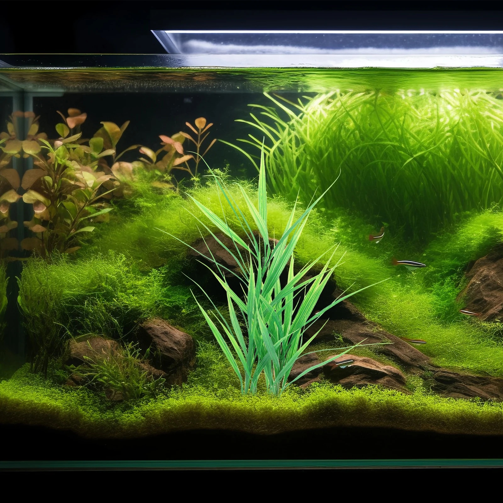 Simulated Decorative Water Plants Realistic Aquarium Plastic Fish Tank Plants Artificial Aquatic Grass Pet Supplies Gardening
Simulated Decorative Water Plants Realistic Aquarium Plastic Fish Tank Plants Artificial Aquatic Grass Pet Supplies Gardening