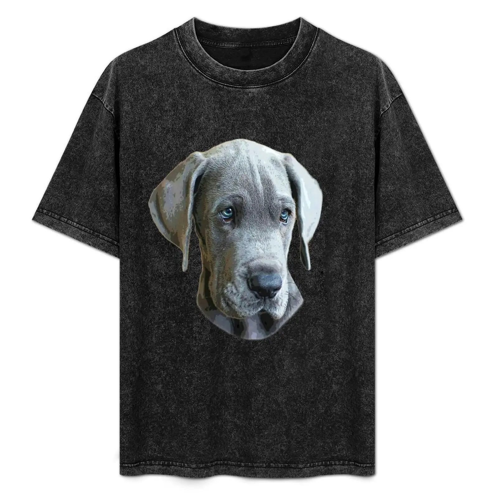 Great Dane Blue Puppy Dog T-Shirt Soft Anti-Shrink Cotton Tee
Great Dane Blue Puppy Dog T-Shirt Soft Anti-Shrink Cotton Tee