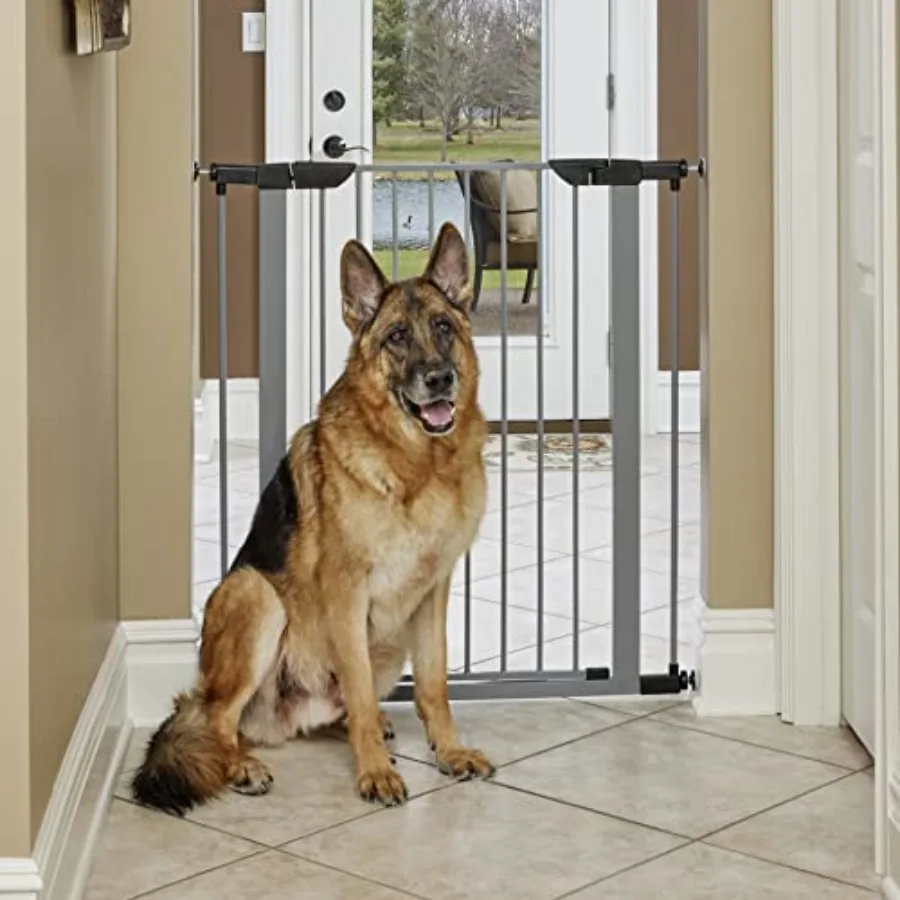 MidWest Homes for Pets Walk-thru Pressure Mounted Gray Steel Dog Gate Expands to 38 Inch Wide No Damage to Walls Includes 3-inc
MidWest Homes for Pets Walk-thru Pressure Mounted Gray Steel Dog Gate Expands to 38 Inch Wide No Damage to Walls Includes 3-inc
