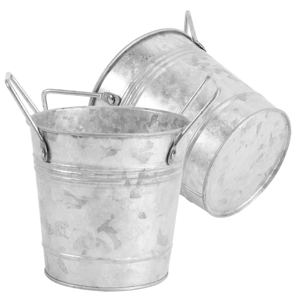 2pcs Galvanized Flower Bucket Vintage Metal Vases Tin Plant Pots Retro Style Decorative Rustic Flower Pot Planter for Home
2pcs Galvanized Flower Bucket Vintage Metal Vases Tin Plant Pots Retro Style Decorative Rustic Flower Pot Planter for Home