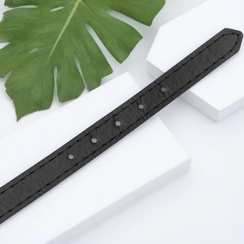 Pet Dog Muzzle Plastic Basket Style with Strap Fit for Forceful Dogs Training Walking Visits
Pet Dog Muzzle Plastic Basket Style with Strap Fit for Forceful Dogs Training Walking Visits