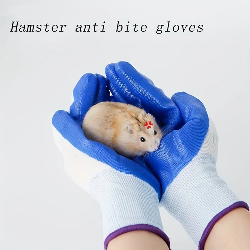 Hamster Supplies Guinea Pig Hamster Bite Resistant Gloves Parrot Bite Resistant Bird Grip Pet Protection Gloves Pets
Hamster Supplies Guinea Pig Hamster Bite Resistant Gloves Parrot Bite Resistant Bird Grip Pet Protection Gloves Pets