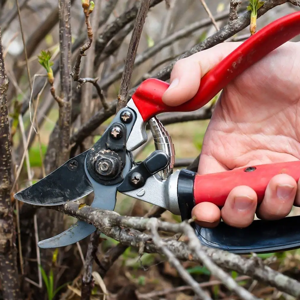 20pcs Steel Spring Parts Pruner Replacement Durable Garden Clippers Bypass Pruning Shears Accessories Precision Springs Trimming
20pcs Steel Spring Parts Pruner Replacement Durable Garden Clippers Bypass Pruning Shears Accessories Precision Springs Trimming