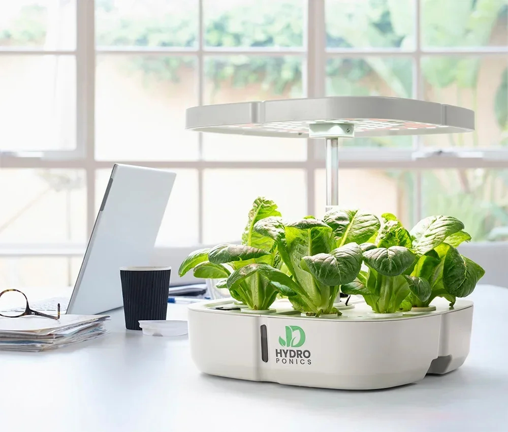 Indoor Plants Mini Garden Nursery Smart Growing System Small Removable Grow Box Home Indoor Hydroponic System With Grow Light
Indoor Plants Mini Garden Nursery Smart Growing System Small Removable Grow Box Home Indoor Hydroponic System With Grow Light