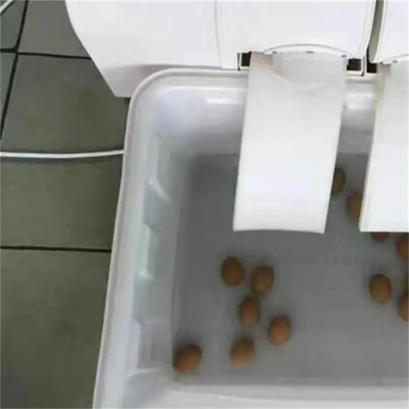 Commercial Egg Washer And Cleaner Duck Egg Cleaning Machine
Commercial Egg Washer And Cleaner Duck Egg Cleaning Machine