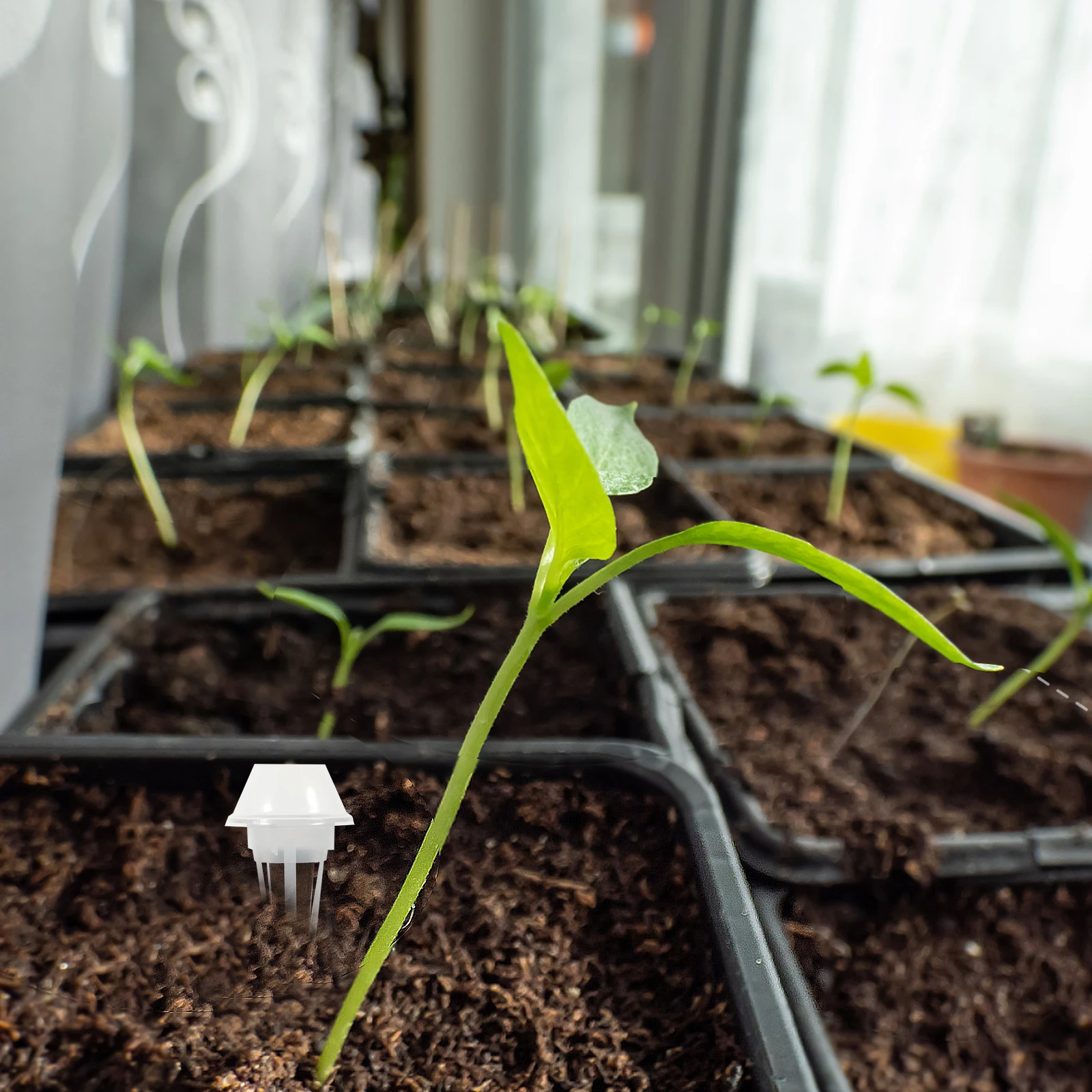 1 set 1 Set Hydroponics Plant Growing Containers Baskets Kit Transparent Insulation Lids Pvc Durable Grow Sponges Strong Water
1 set 1 Set Hydroponics Plant Growing Containers Baskets Kit Transparent Insulation Lids Pvc Durable Grow Sponges Strong Water