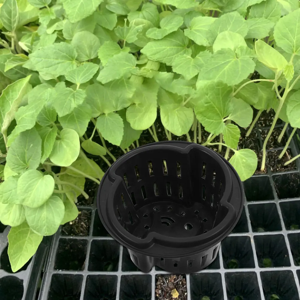 2 Pcs Hydroponic Vegetable Equipment Thickened Plastic Breathable Garden Slotted Net Pots Hydroponics Pot Plant Balcony Flower
2 Pcs Hydroponic Vegetable Equipment Thickened Plastic Breathable Garden Slotted Net Pots Hydroponics Pot Plant Balcony Flower