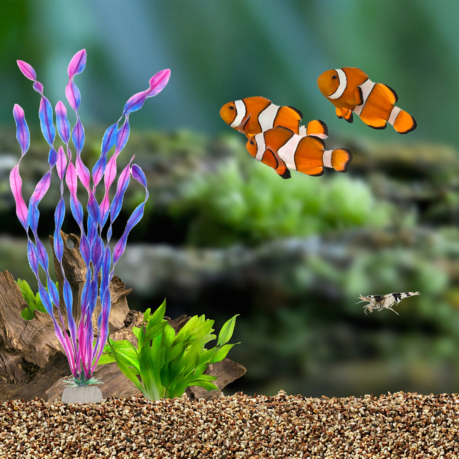 10 Pcs Decorations Artificial Water Plants Fish Tank Aquatic Seaweed Plastic Simulation
10 Pcs Decorations Artificial Water Plants Fish Tank Aquatic Seaweed Plastic Simulation