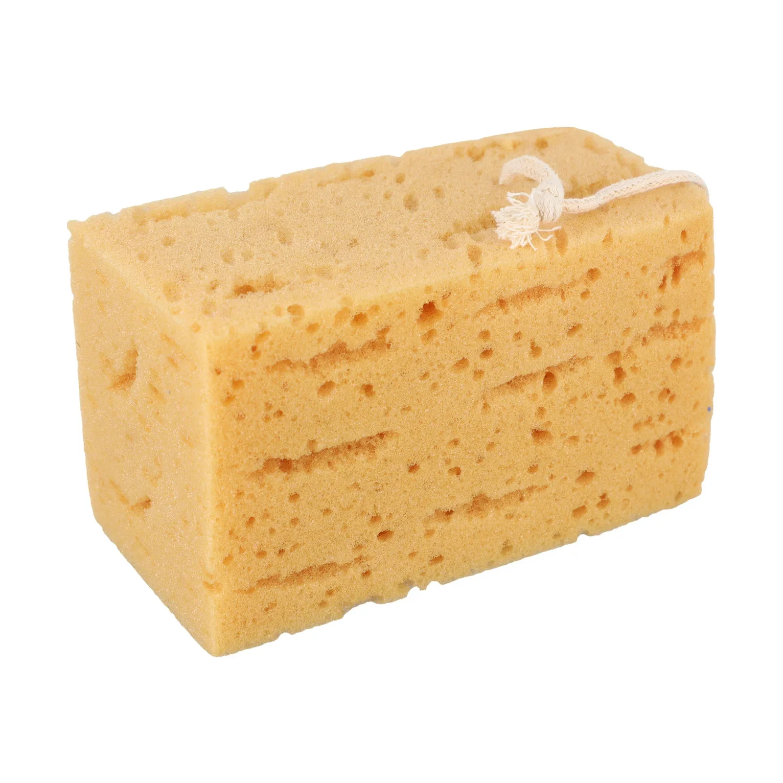 Large Absorption Car Washing Sponge With Coral Material Suitable For Car Surfaces And Various Cleaning Applications
Large Absorption Car Washing Sponge With Coral Material Suitable For Car Surfaces And Various Cleaning Applications