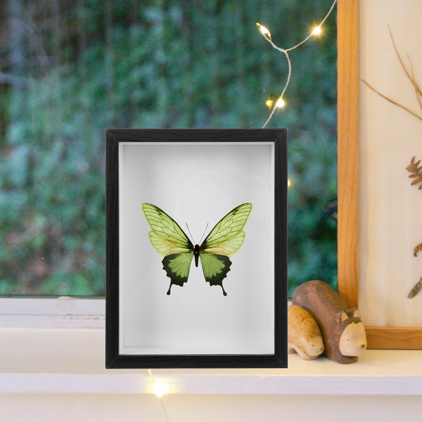 Butterfly Frame Insect Specimen Display Case Vintage Photo Shadow Boxes Wood Frames Dried Flower Storage Pin Badge Medal
Butterfly Frame Insect Specimen Display Case Vintage Photo Shadow Boxes Wood Frames Dried Flower Storage Pin Badge Medal