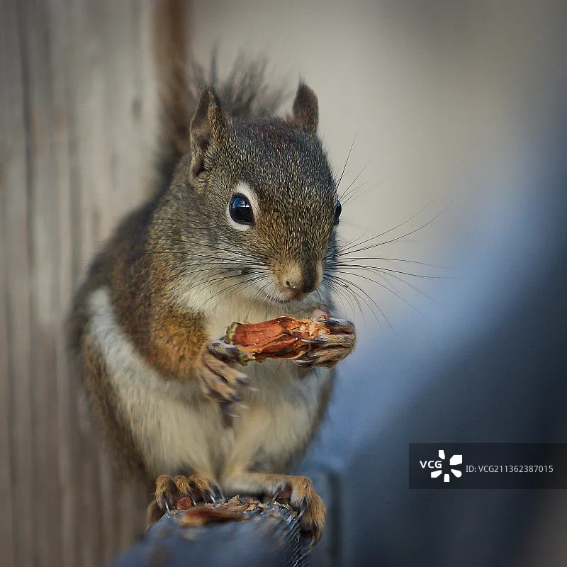 WLtoys 284191 284019-A 1/28 Scale 4WD RC Drifting Car High Speed 2.4G Radio Control Mini Drift Racing Vehicle with Upgraded Gyro
WLtoys 284191 284019-A 1/28 Scale 4WD RC Drifting Car High Speed 2.4G Radio Control Mini Drift Racing Vehicle with Upgraded Gyro