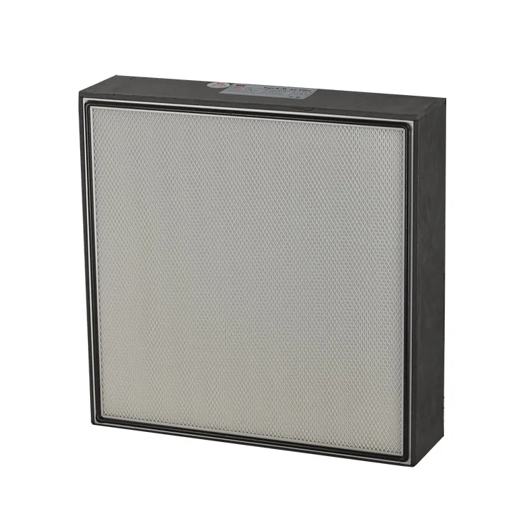 Factory Direct Laboratory Sales HEPA Filter with Hood for Dust-free Workshop
Factory Direct Laboratory Sales HEPA Filter with Hood for Dust-free Workshop