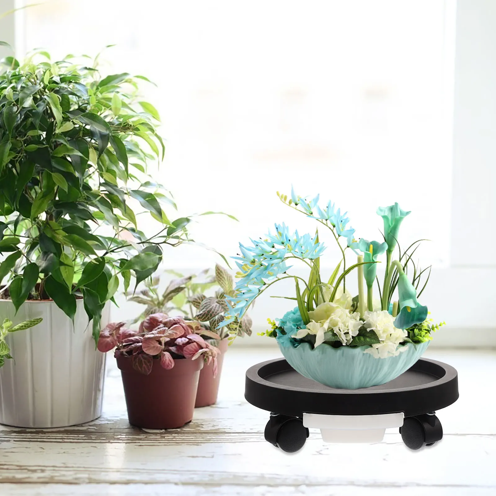 Round Flowerpot St Size PP Plant Tray Casters for Use Ground Trays Movable Dolly Cart Storage
Round Flowerpot St Size PP Plant Tray Casters for Use Ground Trays Movable Dolly Cart Storage