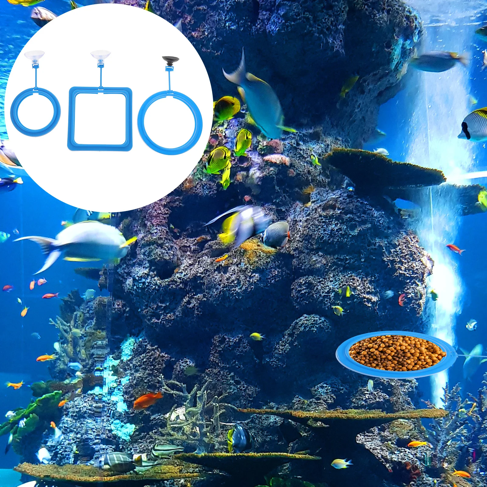 Aquarium Buoyancy Feeder Fish Tank Feeding Tool Compact Lightweight Easy Clean Safe Practical Plastic Aid Accessories
Aquarium Buoyancy Feeder Fish Tank Feeding Tool Compact Lightweight Easy Clean Safe Practical Plastic Aid Accessories