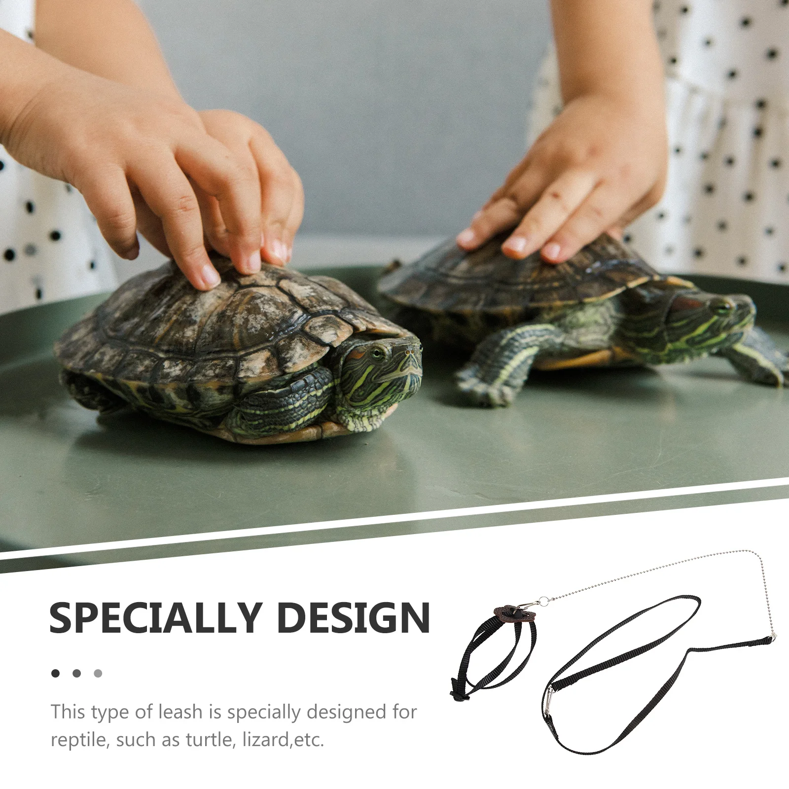 Reptile Pet Leash Turtle Lizard Traction Rope Adjustable Faux Comfortable Walking Training Lead S Black
Reptile Pet Leash Turtle Lizard Traction Rope Adjustable Faux Comfortable Walking Training Lead S Black