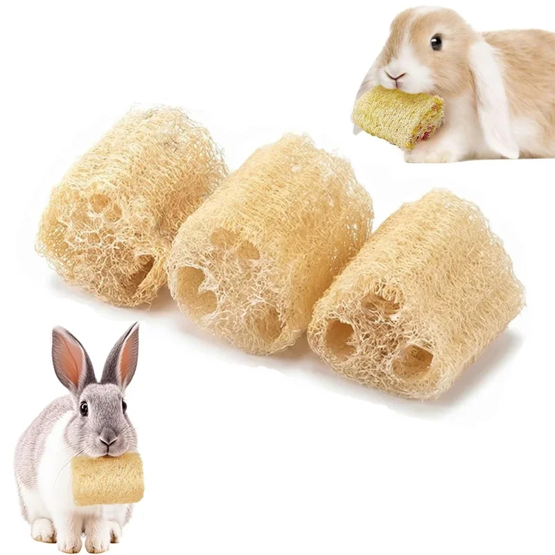 2PCS Rabbit Chew Toys, Natural Loofah Bunny Chew Toys for Teeth Cleaning, Small Animals Foraging Toy for Bunny Chinchilla
2PCS Rabbit Chew Toys, Natural Loofah Bunny Chew Toys for Teeth Cleaning, Small Animals Foraging Toy for Bunny Chinchilla