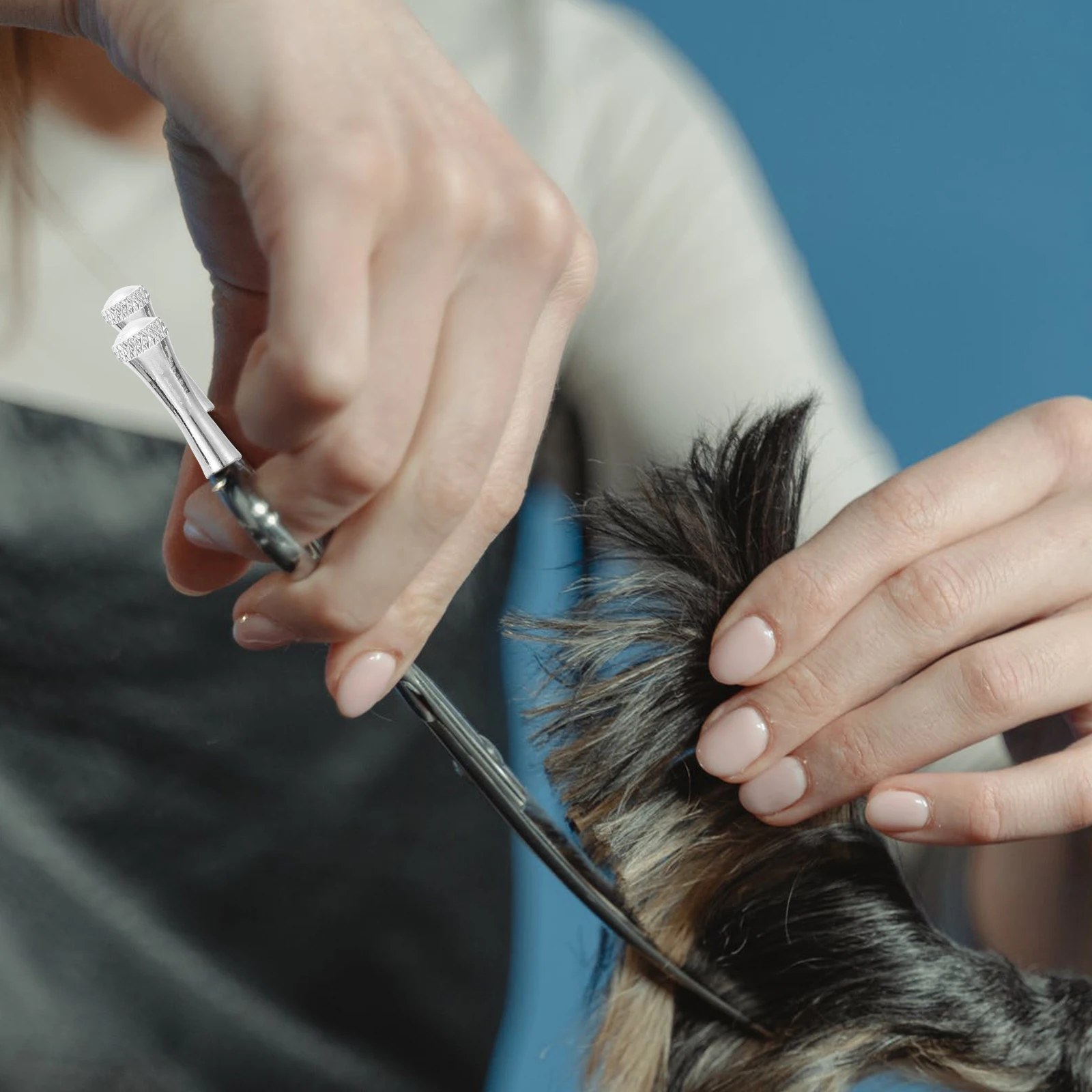 12 Pcs Pet Hair Scissors Stainless Steel Durable Smooth Surface Decorative Useful Scissor Finger Rest Pet Clippers Tail Nail
12 Pcs Pet Hair Scissors Stainless Steel Durable Smooth Surface Decorative Useful Scissor Finger Rest Pet Clippers Tail Nail