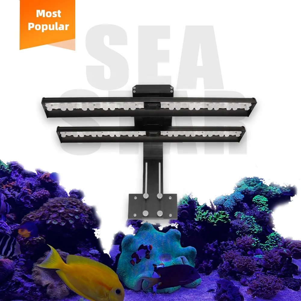 New Arrival A035 Aquarium Light 400 Watt Aquarium Light T8 Aquarium Waterproof Led Tube Light With Cheap Price
New Arrival A035 Aquarium Light 400 Watt Aquarium Light T8 Aquarium Waterproof Led Tube Light With Cheap Price