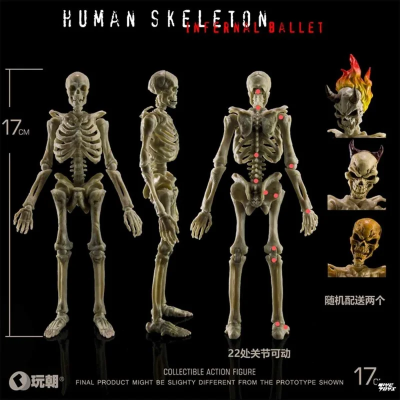 Genuine 1/12 Biology Classroom Human Skeletal Skeleton Elements Finished Product Action Figure Figures Model Desk Ornament Gift
Genuine 1/12 Biology Classroom Human Skeletal Skeleton Elements Finished Product Action Figure Figures Model Desk Ornament Gift