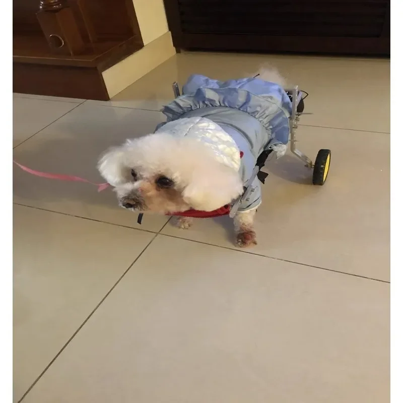 Dog Wheelchair Hind Limb Paralysis Pet Scooter Disabled Dog Rear Leg Auxiliary Bracket
Dog Wheelchair Hind Limb Paralysis Pet Scooter Disabled Dog Rear Leg Auxiliary Bracket