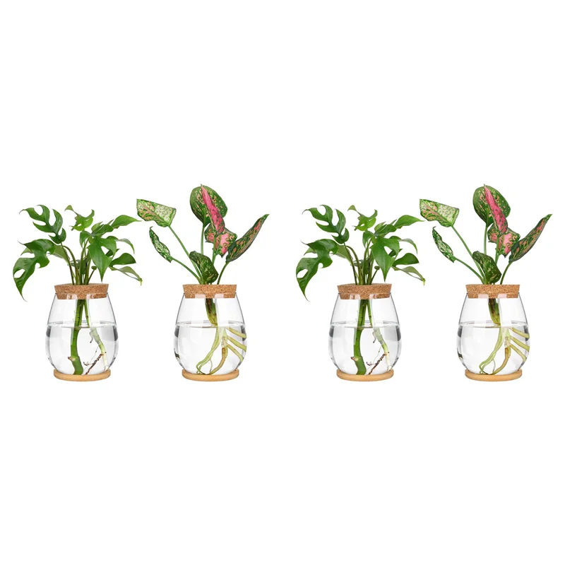 【Best Selling】Plants Propagation Stations, 4 Pcs Separated Desktop Plant Terrarium With Wooden Tray & Lid For Propagating Hydrop
【Best Selling】Plants Propagation Stations, 4 Pcs Separated Desktop Plant Terrarium With Wooden Tray & Lid For Propagating Hydrop