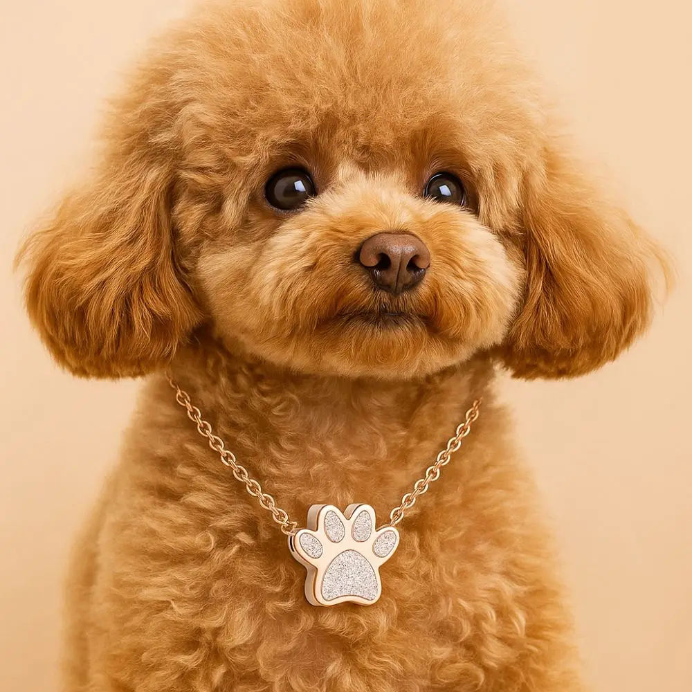 Stainless Steel Pet Paw Print Urn Necklace Mini Waterproof Pet Ashes Memorial Jewelry Dustproof Cute Ashes Cremation Necklace
Stainless Steel Pet Paw Print Urn Necklace Mini Waterproof Pet Ashes Memorial Jewelry Dustproof Cute Ashes Cremation Necklace