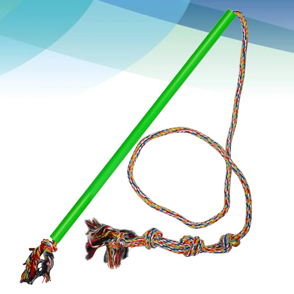 Interactive Dog Toys Flirt Pole Funny Chasing Tail Teaser and Exerciser for Pets (Green, Small) Interactive Puppy Toys
Interactive Dog Toys Flirt Pole Funny Chasing Tail Teaser and Exerciser for Pets (Green, Small) Interactive Puppy Toys