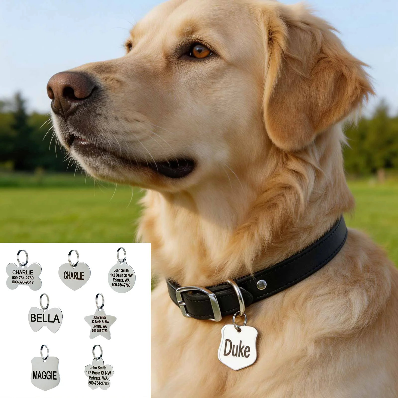Free Custom Pet Tag for Dog Cat,Waterproof Stainless Steel Engraved Puppy Pet ID Name Collar Tag,Bow/Bone/Star/Flower/Round Tag
Free Custom Pet Tag for Dog Cat,Waterproof Stainless Steel Engraved Puppy Pet ID Name Collar Tag,Bow/Bone/Star/Flower/Round Tag