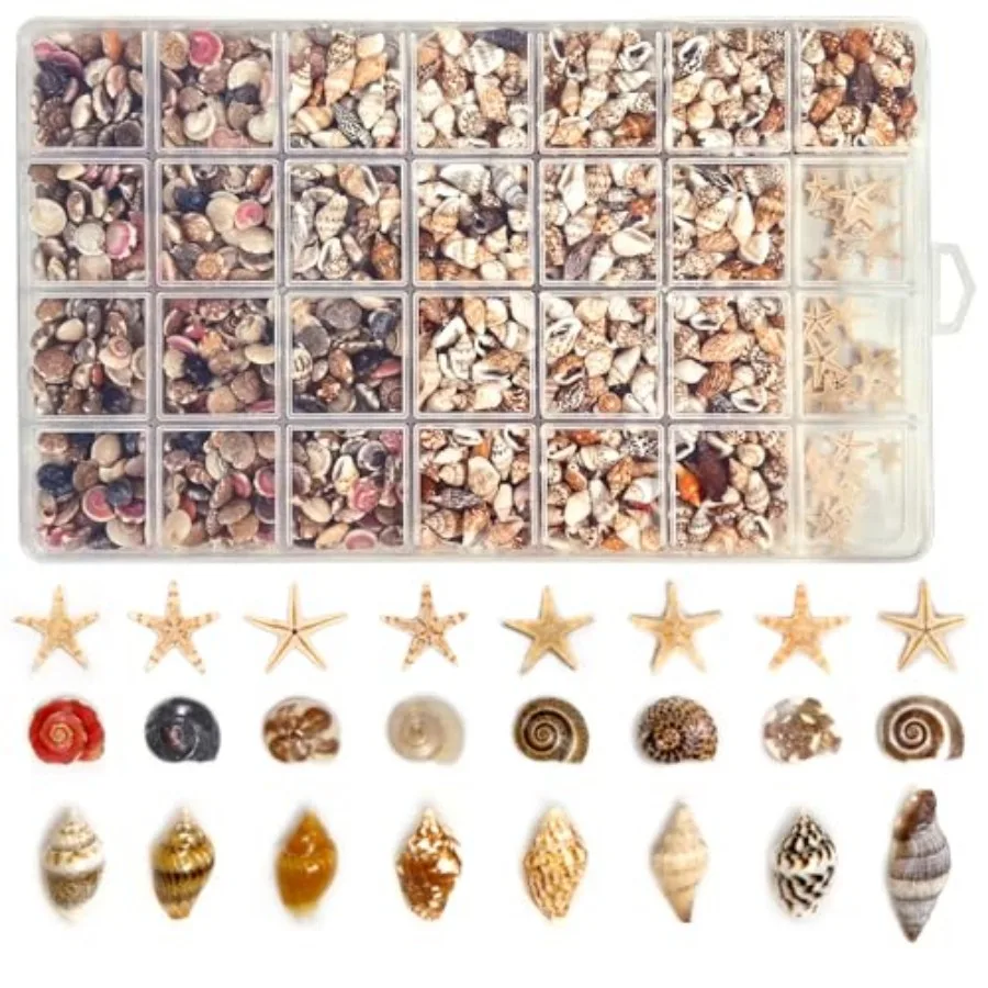 Tiny Seashells for Crafts, Small sea Shells in Bulk with mini Starfish for Home Decorations, DIY Ornaments, Sea Shells for Craf
Tiny Seashells for Crafts, Small sea Shells in Bulk with mini Starfish for Home Decorations, DIY Ornaments, Sea Shells for Craf