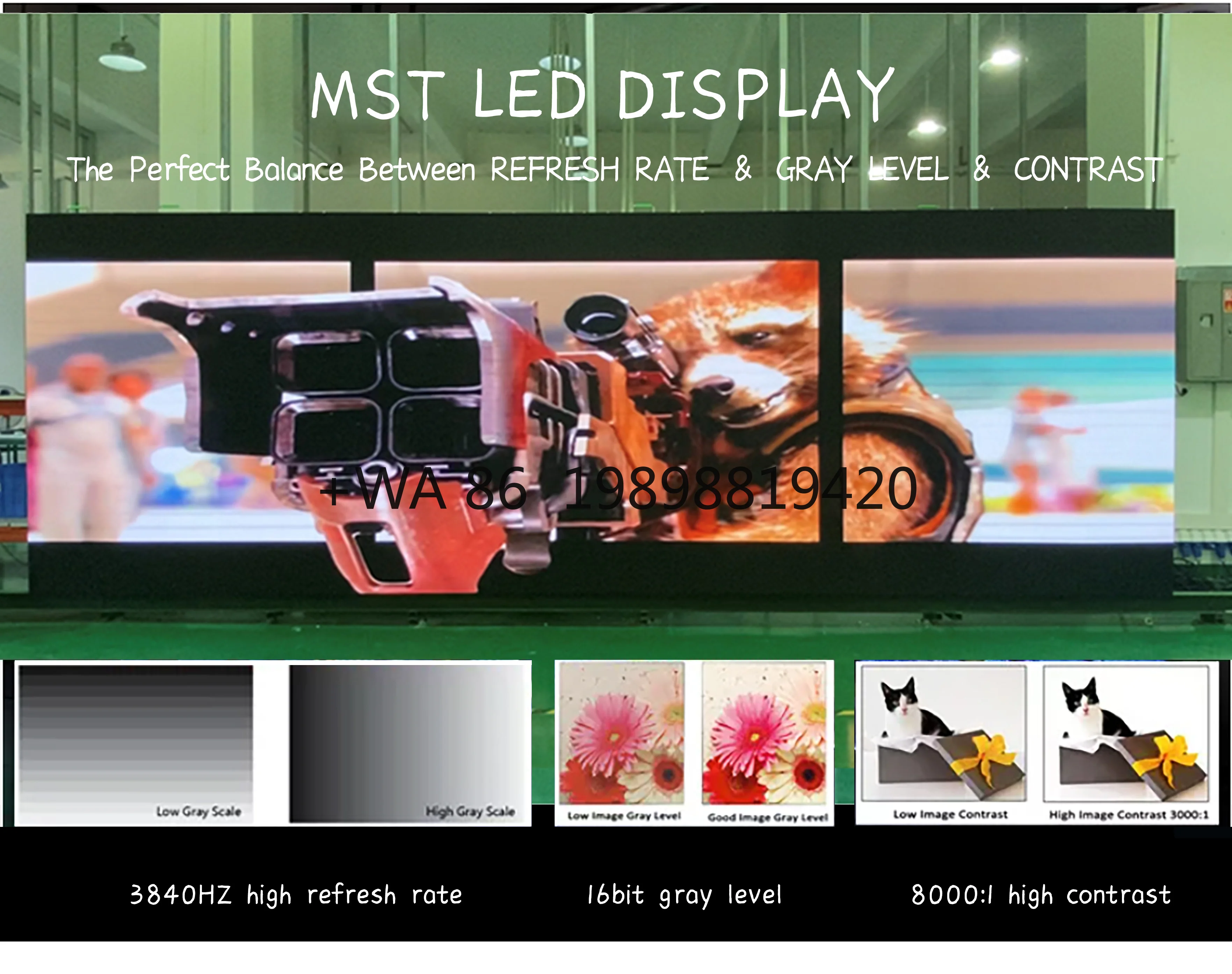 P3.91 Indoor Outdoor LED Rental Screen Full Color HD Easy Setup for Events
P3.91 Indoor Outdoor LED Rental Screen Full Color HD Easy Setup for Events