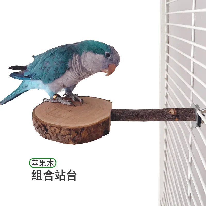Parrot Stand Bird Cage Birds Accessoires Totoro Teeth Grinding Apple Wooden Jumping Platform Squirrel Wooden Station Pole
Parrot Stand Bird Cage Birds Accessoires Totoro Teeth Grinding Apple Wooden Jumping Platform Squirrel Wooden Station Pole