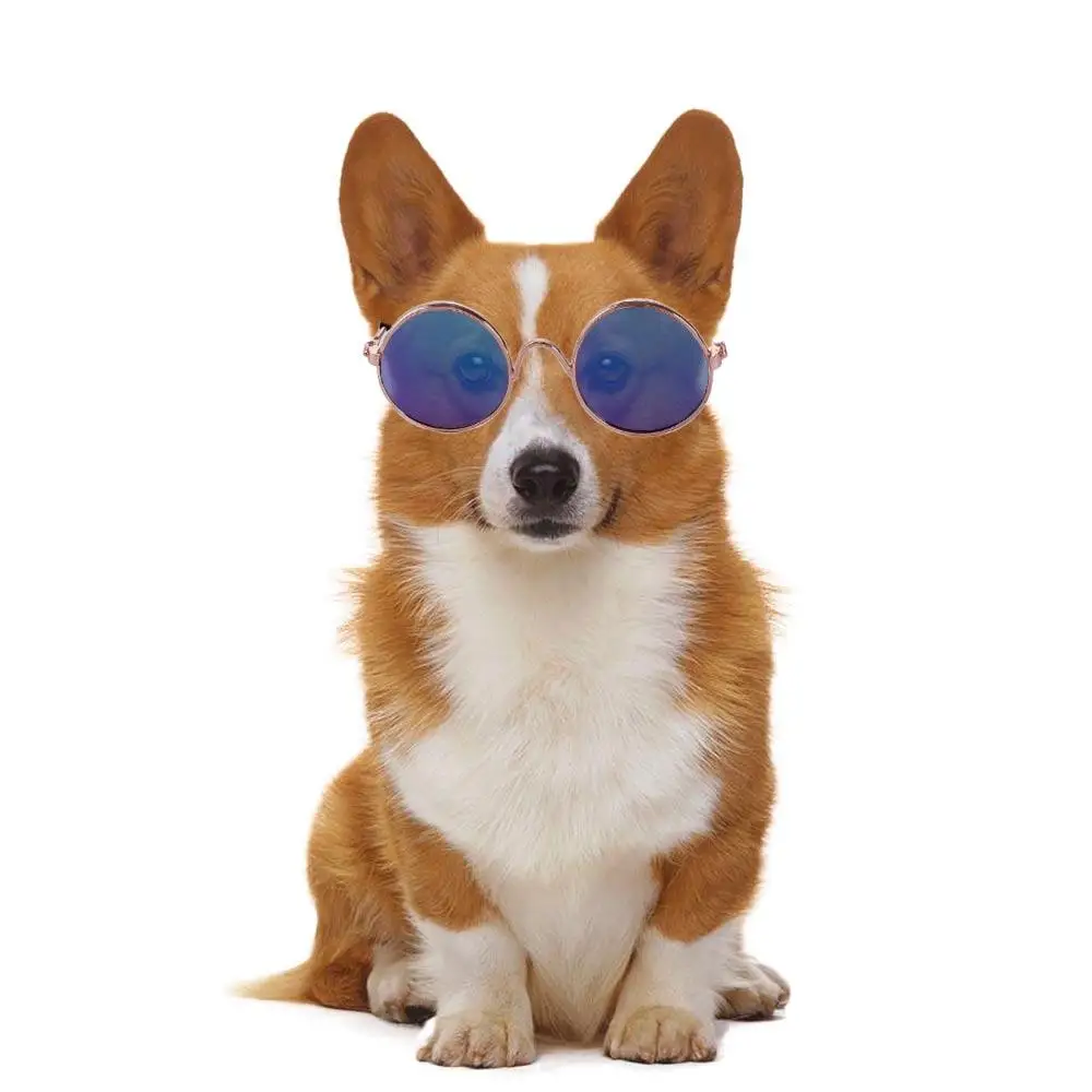 Fashion Funny Decoration Lovely For Small Dog Cat Reflection Photos Props Pet Glasses Sunglasses Eye Wear
Fashion Funny Decoration Lovely For Small Dog Cat Reflection Photos Props Pet Glasses Sunglasses Eye Wear