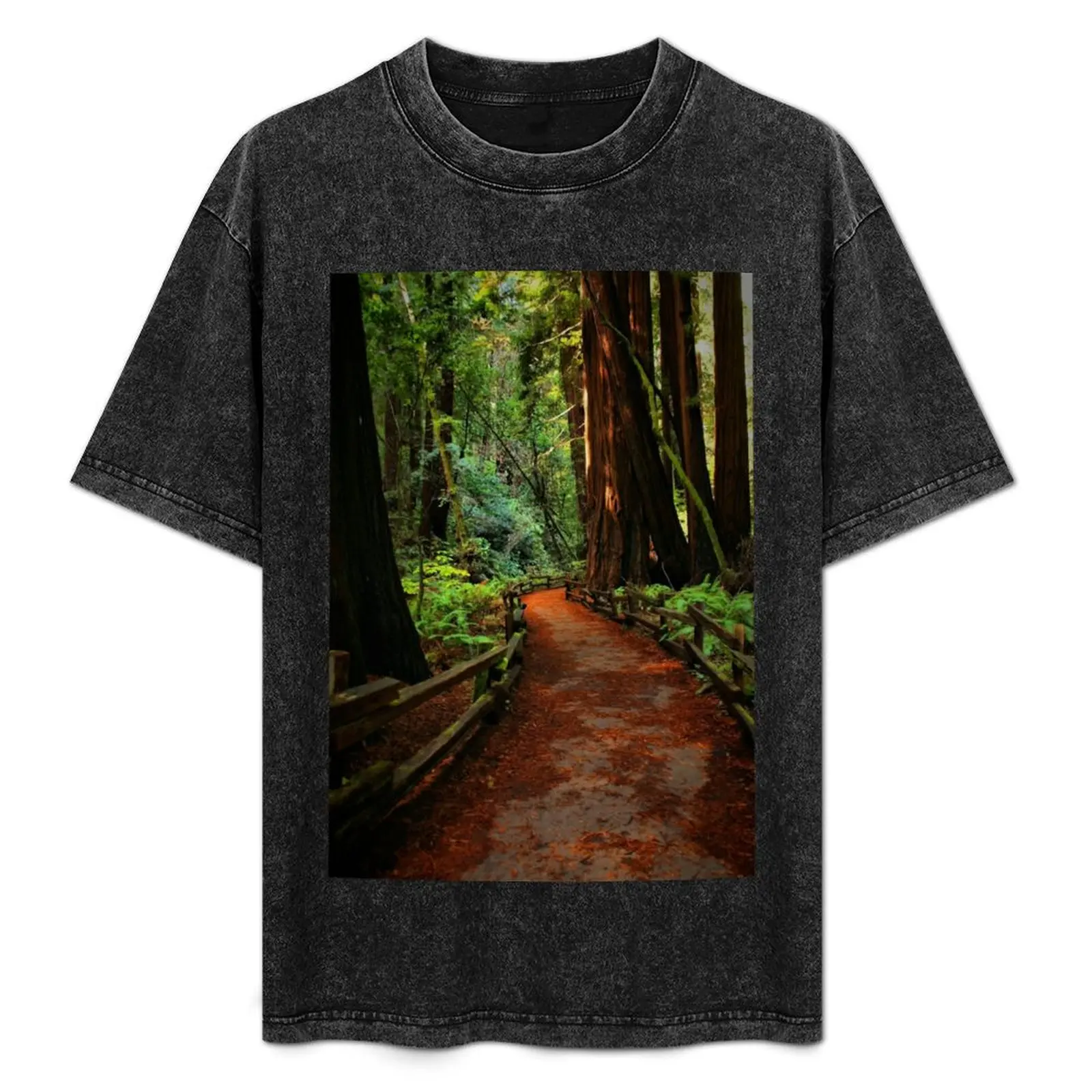 Walk Through Redwoods T-Shirt Sun Block Outdoor T-Shirt
Walk Through Redwoods T-Shirt Sun Block Outdoor T-Shirt