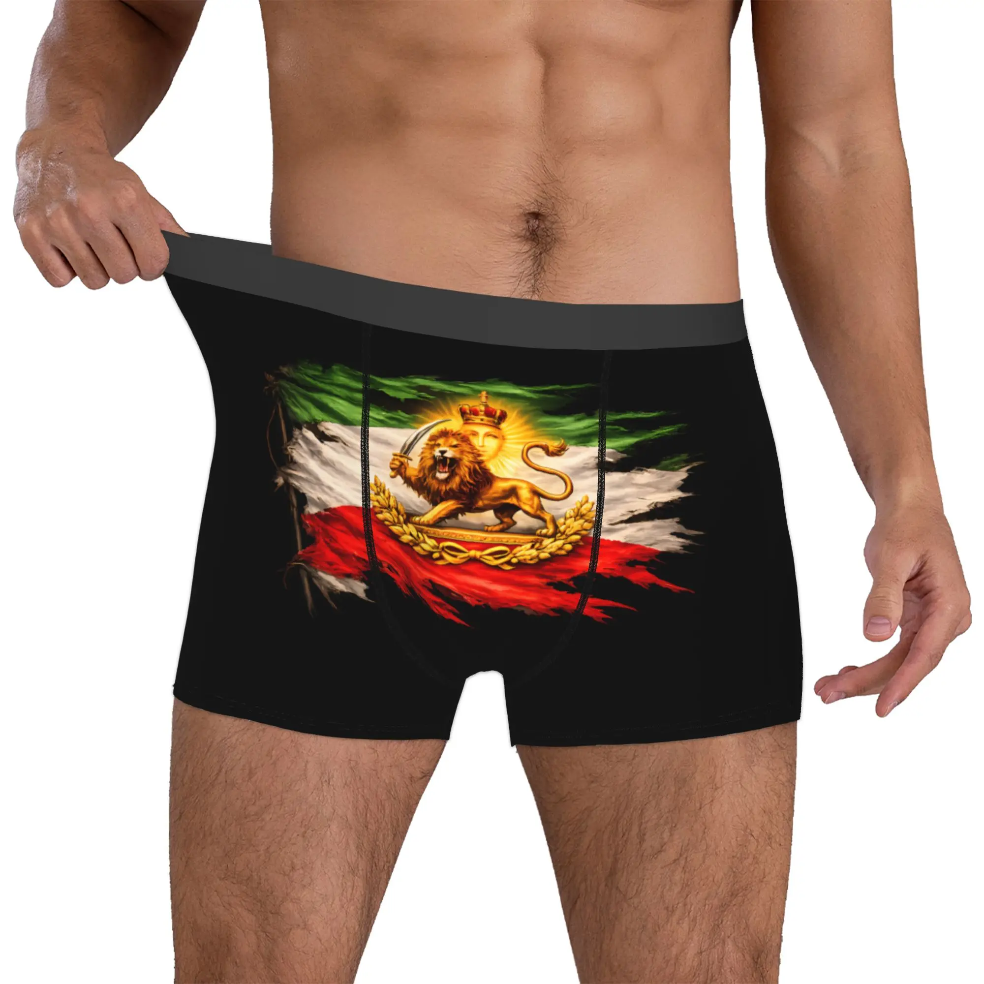 Custom I-Iran Underwear Men Breathable Flag Boxer Briefs Shorts Panties Soft Underpants For Homme
Custom I-Iran Underwear Men Breathable Flag Boxer Briefs Shorts Panties Soft Underpants For Homme