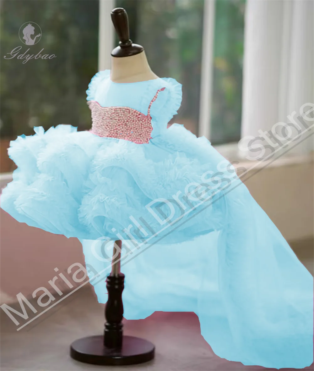 White Pearls Sky Blue Flower Girl Dress Transparent Crewneck For Wedding Tulle Pleats Puffy Baby Child Birthday Communion Gowns
White Pearls Sky Blue Flower Girl Dress Transparent Crewneck For Wedding Tulle Pleats Puffy Baby Child Birthday Communion Gowns