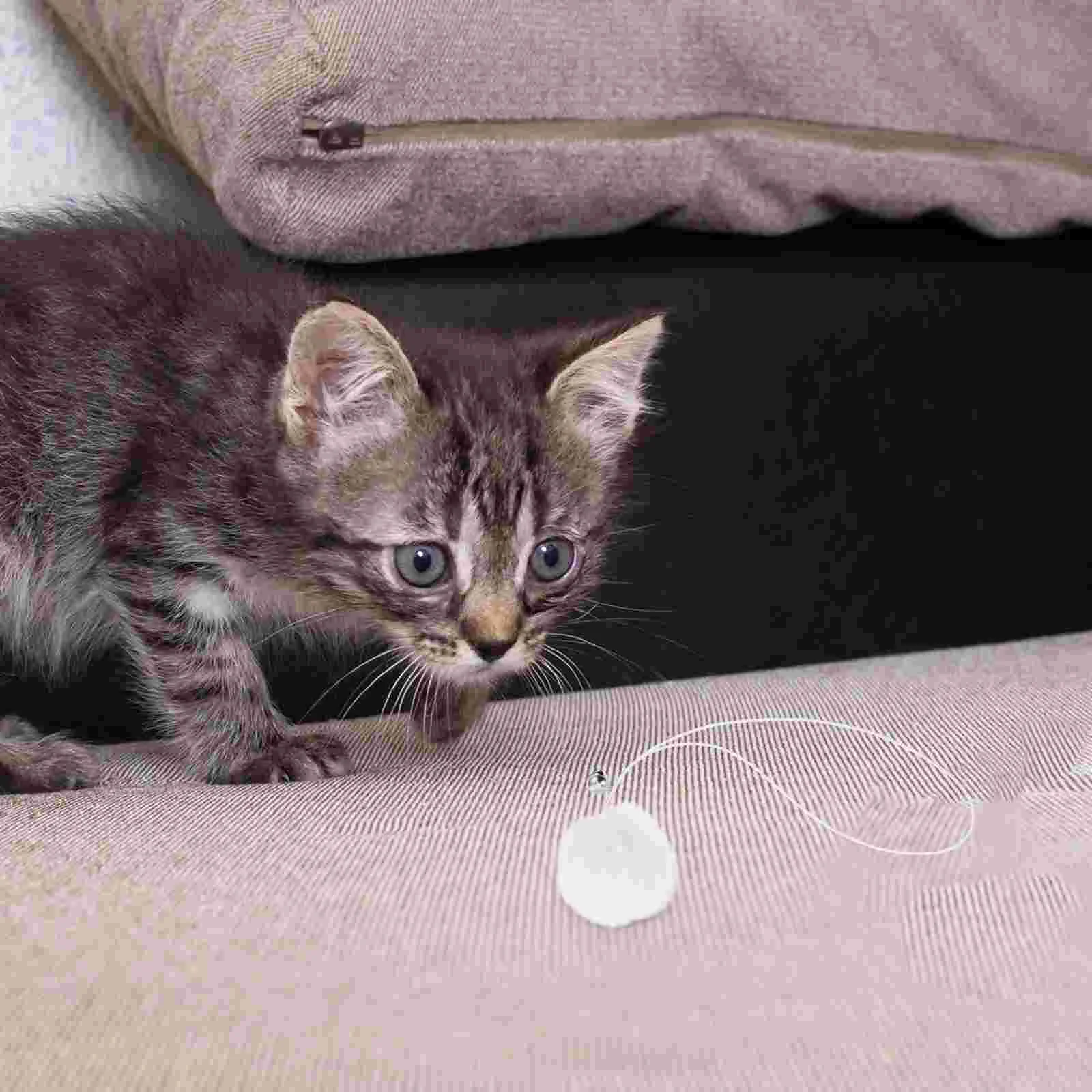Interactive Ball Cat Toy Scratching Post Replacement Toys with Balls Spring Bell
Interactive Ball Cat Toy Scratching Post Replacement Toys with Balls Spring Bell