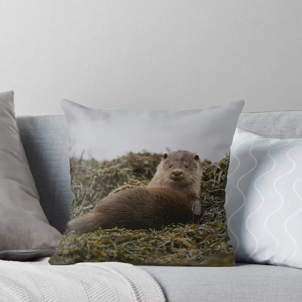 Scottish coastal otter Throw Pillow Christmas Pillow Cases Decorative pillowcase pillow
Scottish coastal otter Throw Pillow Christmas Pillow Cases Decorative pillowcase pillow